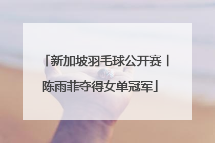 新加坡羽毛球公开赛丨陈雨菲夺得女单冠军