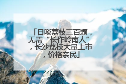 日啖荔枝三百颗，无需“长作岭南人”，长沙荔枝大量上市，价格亲民