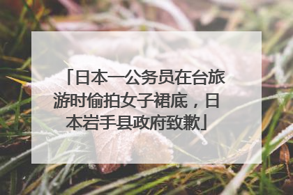 日本一公务员在台旅游时偷拍女子裙底，日本岩手县政府致歉