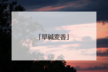 旱碱麦香