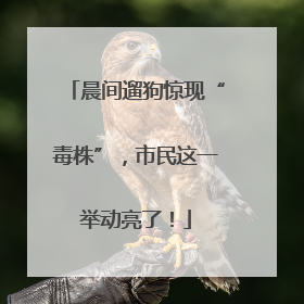 晨间遛狗惊现“毒株”,市民这一举动亮了!