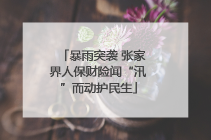 暴雨突袭 张家界人保财险闻“汛”而动护民生