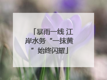 暴雨一线 江岸水务“一抹黄”始终闪耀