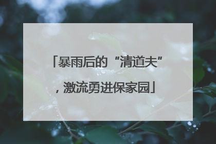 暴雨后的“清道夫”，激流勇进保家园
