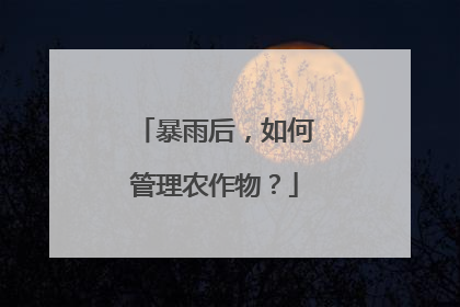 暴雨后，如何管理农作物？