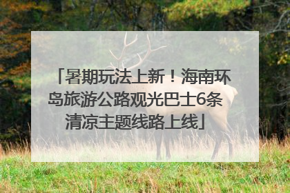 暑期玩法上新！海南环岛旅游公路观光巴士6条清凉主题线路上线