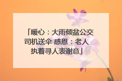 暖心：大雨倾盆公交司机送伞 感恩：老人执着寻人表谢意