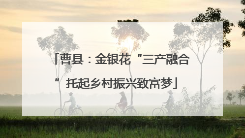 曹县：金银花“三产融合”托起乡村振兴致富梦