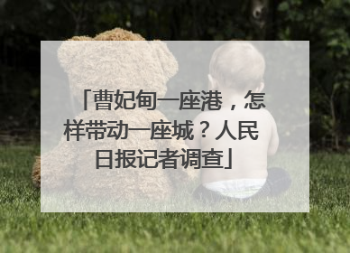 曹妃甸一座港，怎样带动一座城？人民日报记者调查