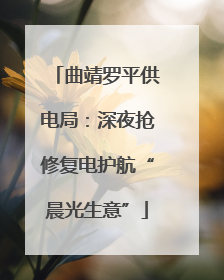 曲靖罗平供电局：深夜抢修复电护航“晨光生意”