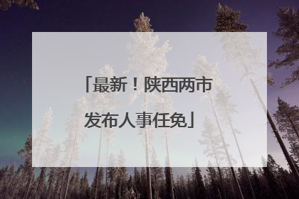最新！陕西两市发布人事任免
