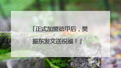正式加盟德甲后，樊振东发文送祝福！