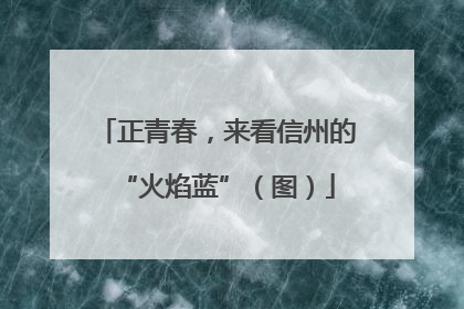 正青春，来看信州的“火焰蓝”（图）