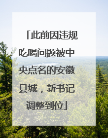此前因违规吃喝问题被中央点名的安徽县城，新书记调整到位