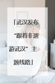 武汉发布“跟着非遗游武汉”主题线路