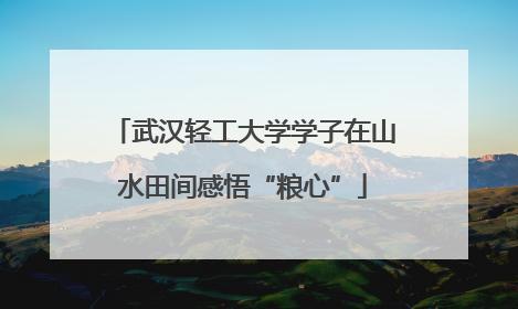 武汉轻工大学学子在山水田间感悟“粮心”