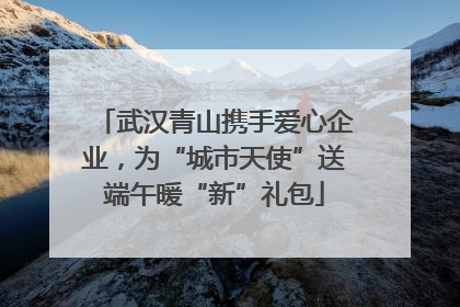 武汉青山携手爱心企业，为“城市天使”送端午暖“新”礼包