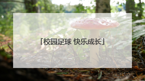 校园足球 快乐成长