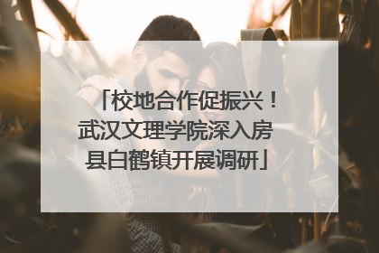 校地合作促振兴！武汉文理学院深入房县白鹤镇开展调研