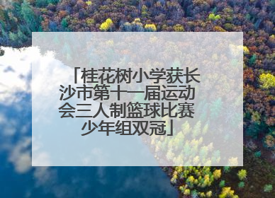 桂花树小学获长沙市第十一届运动会三人制篮球比赛少年组双冠
