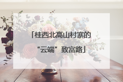 桂西北高山村寨的“云端”致富路