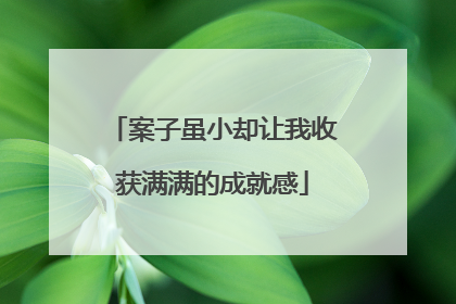 案子虽小却让我收获满满的成就感