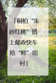 桐柏“朱砂红桃”搭上邮政快车抢“鲜”出村