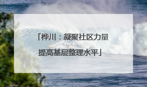 桦川：凝聚社区力量 提高基层整理水平