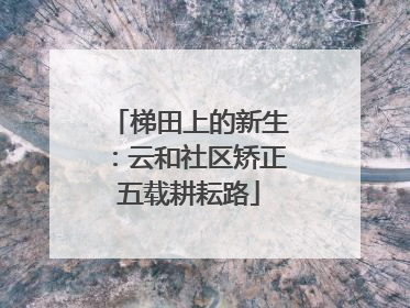 梯田上的新生：云和社区矫正五载耕耘路