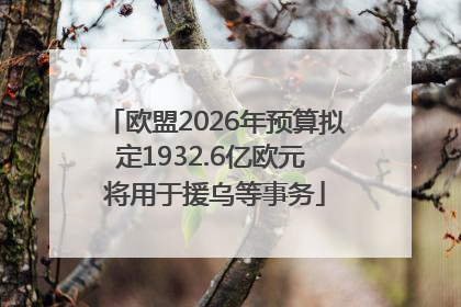 欧盟2026年预算拟定1932.6亿欧元 将用于援乌等事务