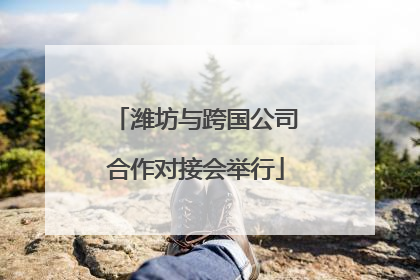 潍坊与跨国公司合作对接会举行