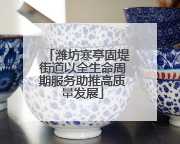 潍坊寒亭固堤街道以全生命周期服务助推高质量发展