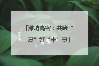 潍坊高密：共绘“三夏”好“丰”景