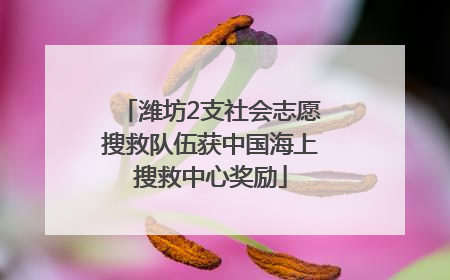 潍坊2支社会志愿搜救队伍获中国海上搜救中心奖励