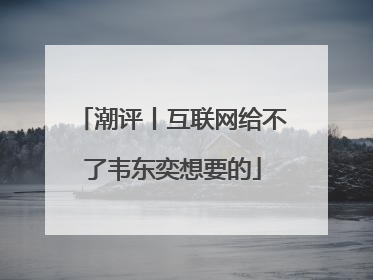 潮评丨互联网给不了韦东奕想要的