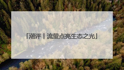 潮评丨流萤点亮生态之光