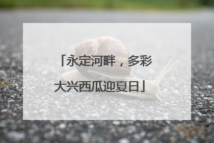 永定河畔，多彩大兴西瓜迎夏日