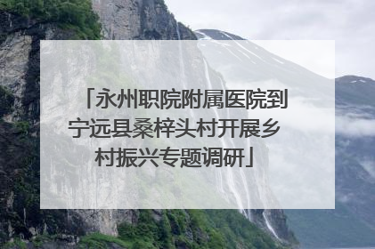 永州职院附属医院到宁远县桑梓头村开展乡村振兴专题调研