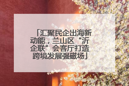 汇聚民企出海新动能，兰山区“沂企联”会客厅打造跨境发展强磁场