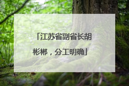 江苏省副省长胡彬郴，分工明确