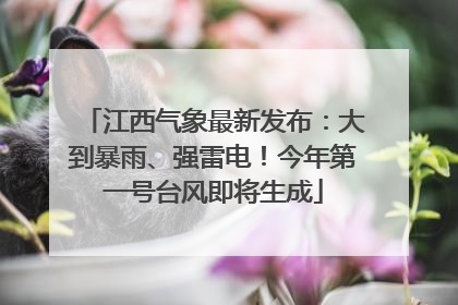江西气象最新发布：大到暴雨、强雷电！今年第一号台风即将生成