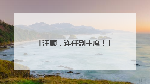 汪顺，连任副主席！