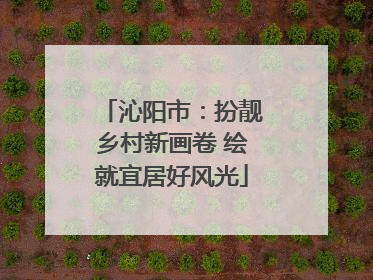 沁阳市：扮靓乡村新画卷 绘就宜居好风光