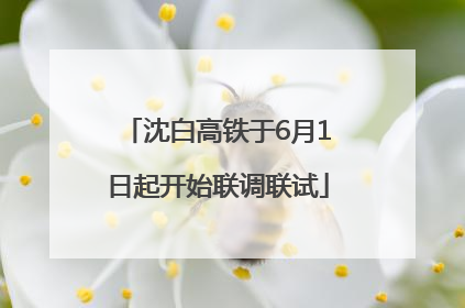 沈白高铁于6月1日起开始联调联试