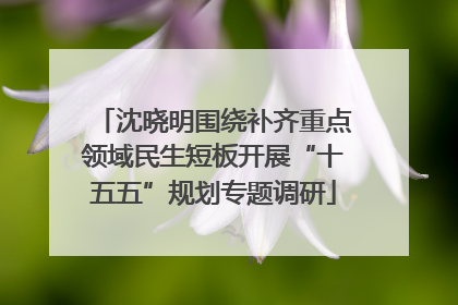 沈晓明围绕补齐重点领域民生短板开展“十五五”规划专题调研