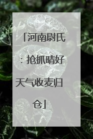 河南尉氏：抢抓晴好天气收麦归仓