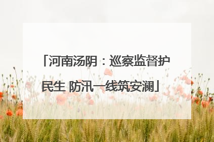 河南汤阴：巡察监督护民生 防汛一线筑安澜