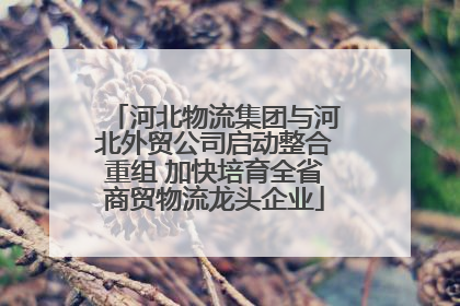 河北物流集团与河北外贸公司启动整合重组 加快培育全省商贸物流龙头企业