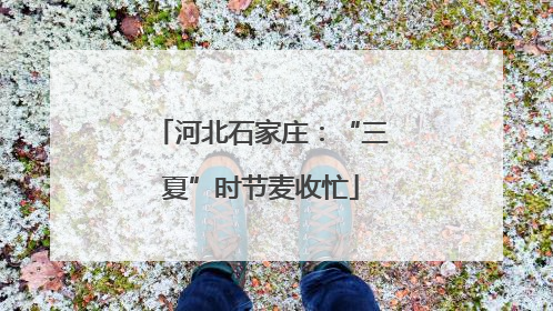 河北石家庄：“三夏”时节麦收忙
