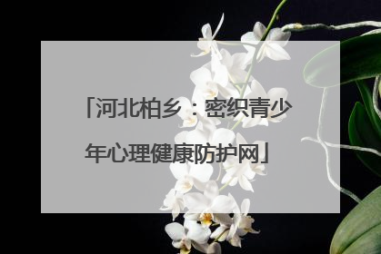 河北柏乡：密织青少年心理健康防护网